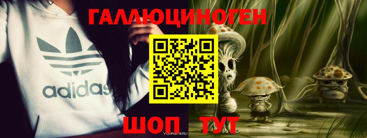 Кингисепп  Псилоцибиновые грибы мицелий  Вход с VPN  Галлюциногенные грибы Cubensis 