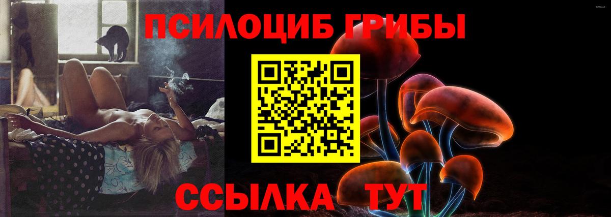 Галлюциногенные грибы прущие грибы Кингисепп